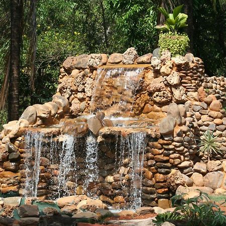 The Enchanting Nest Borim Luaran gambar