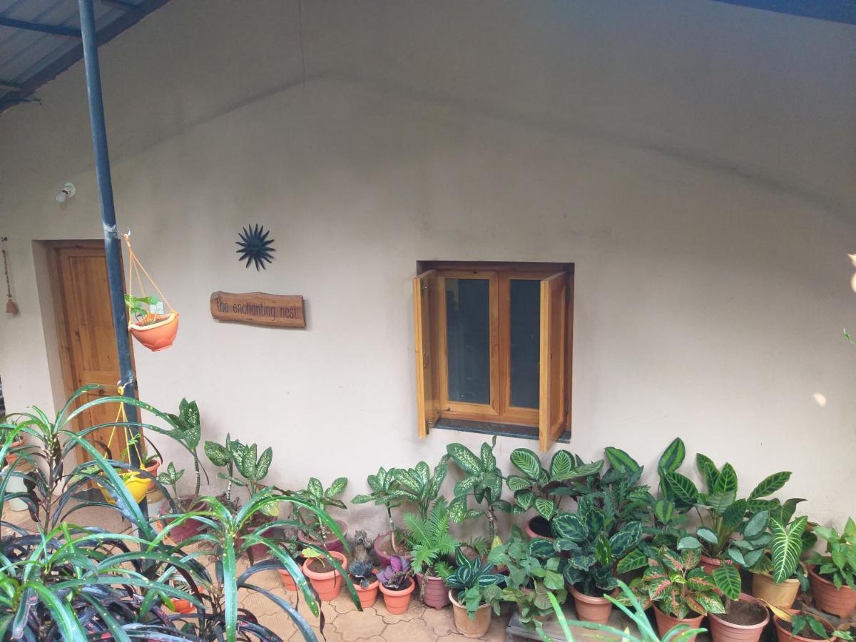 The Enchanting Nest Borim Luaran gambar