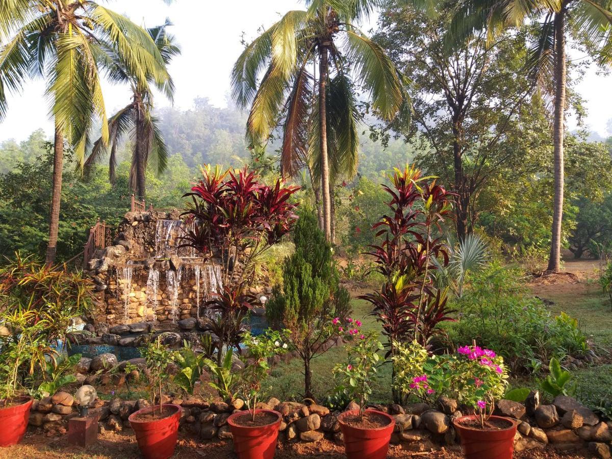 The Enchanting Nest Borim Luaran gambar