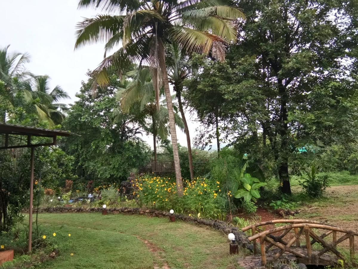 The Enchanting Nest Borim Luaran gambar