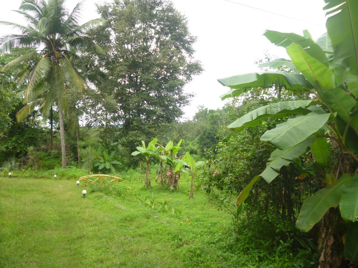 The Enchanting Nest Borim Luaran gambar