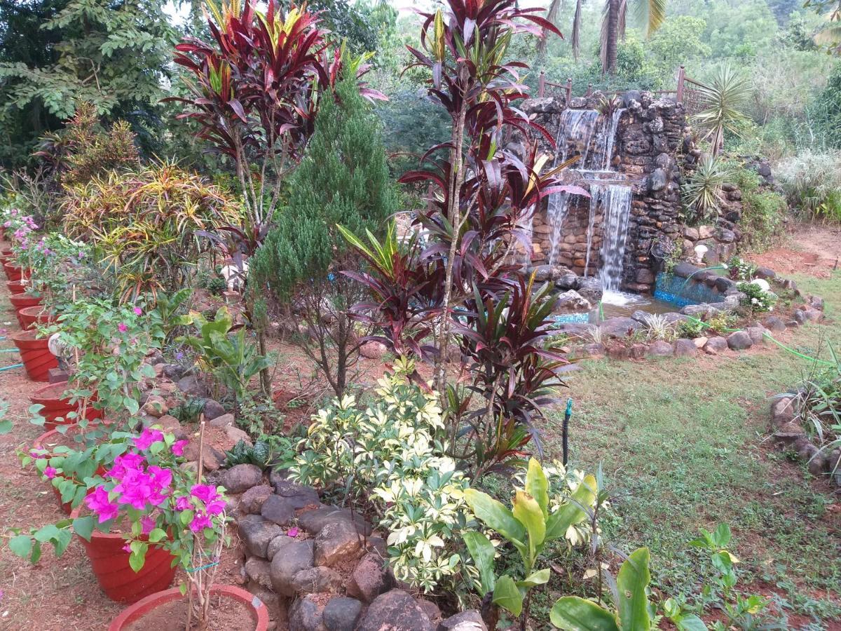 The Enchanting Nest Borim Luaran gambar